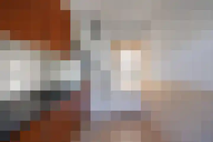 de Hoogte 11 Wagenborgen thumbnail 15