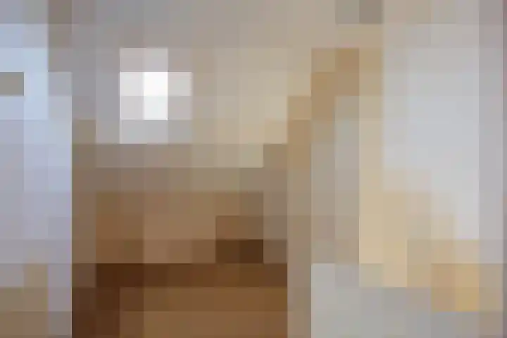 de Hoogte 11 Wagenborgen thumbnail 19