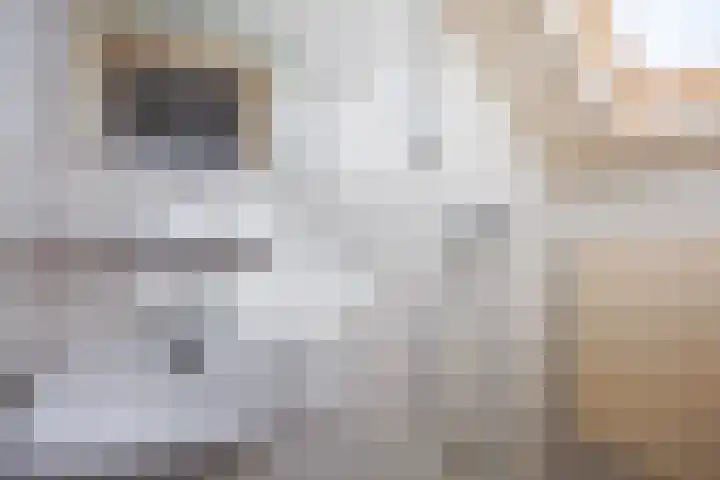 de Hoogte 11 Wagenborgen thumbnail 28