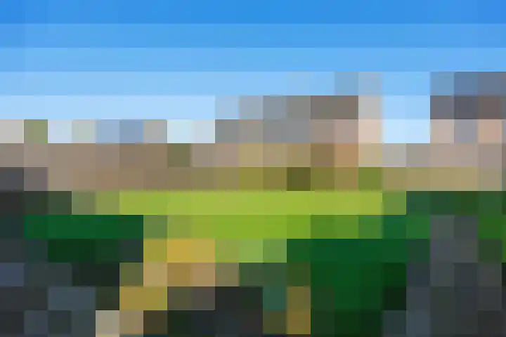 de Hoogte 11 Wagenborgen thumbnail 37