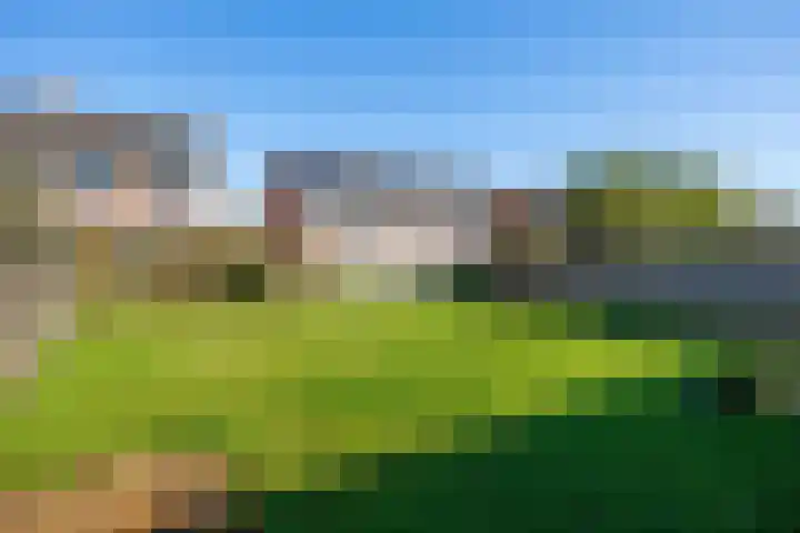 de Hoogte 11 Wagenborgen thumbnail 38