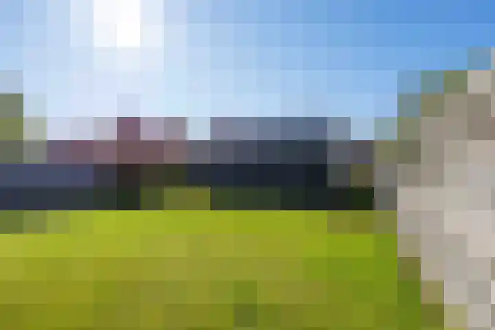de Hoogte 11 Wagenborgen thumbnail 40