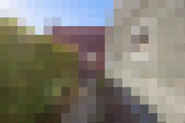 de Hoogte 11 Wagenborgen thumbnail 41