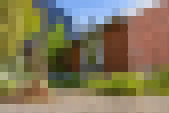 de Hoogte 26 Wagenborgen thumbnail 12