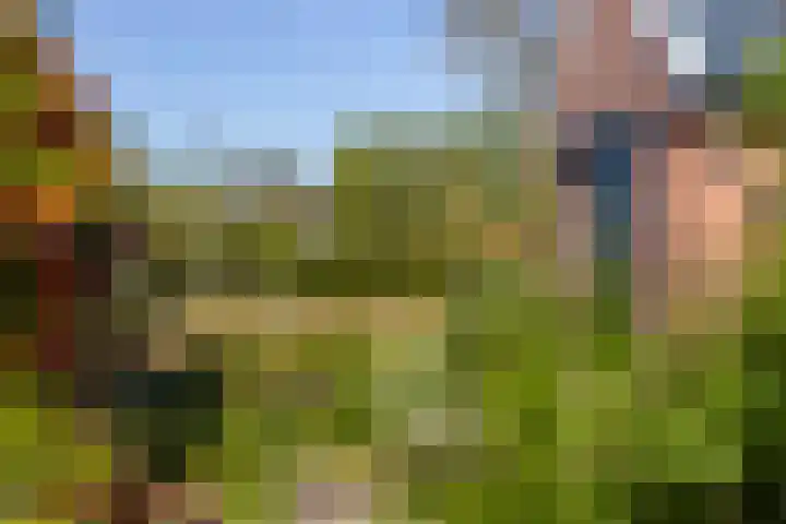 de Hoogte 26 Wagenborgen thumbnail 13