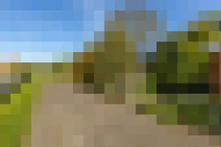 de Hoogte 26 Wagenborgen thumbnail 14