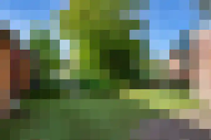 de Hoogte 26 Wagenborgen thumbnail 16