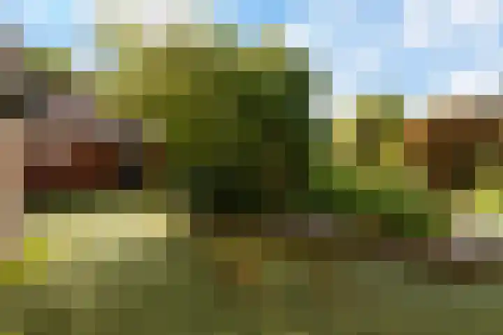 de Hoogte 26 Wagenborgen thumbnail 18