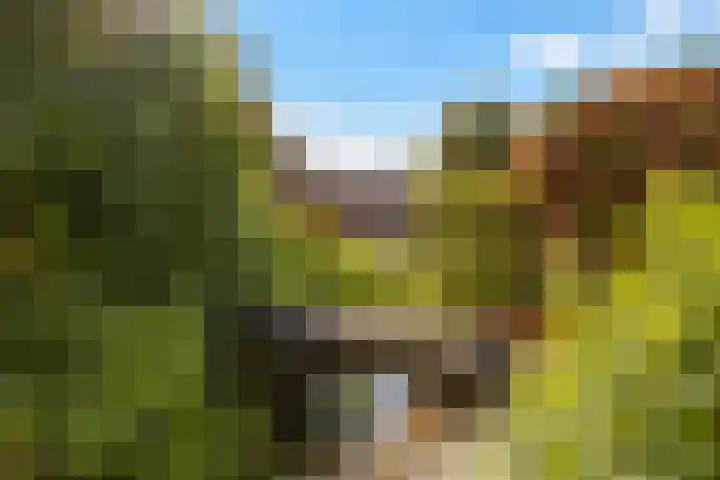 de Hoogte 26 Wagenborgen thumbnail 19
