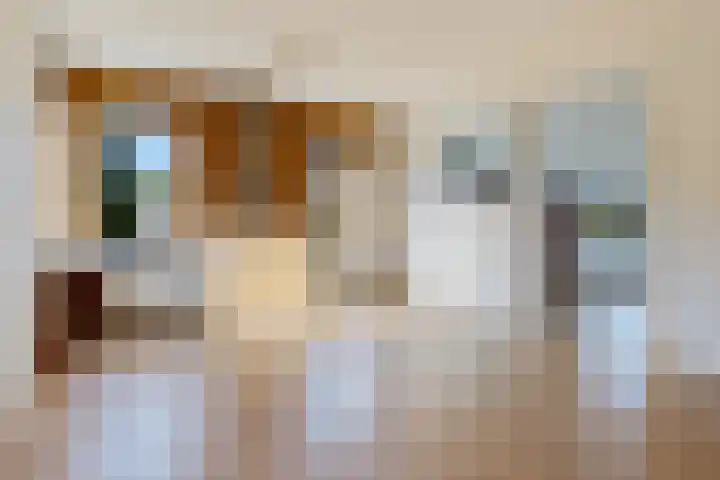 de Hoogte 26 Wagenborgen thumbnail 22