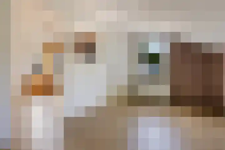 de Hoogte 26 Wagenborgen thumbnail 24