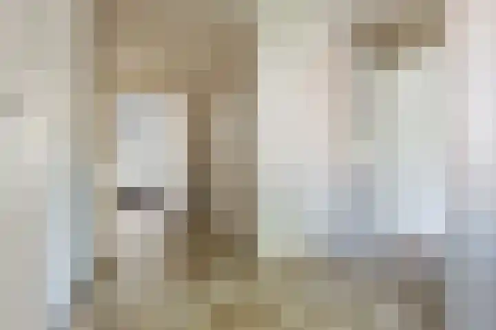 de Hoogte 26 Wagenborgen thumbnail 31