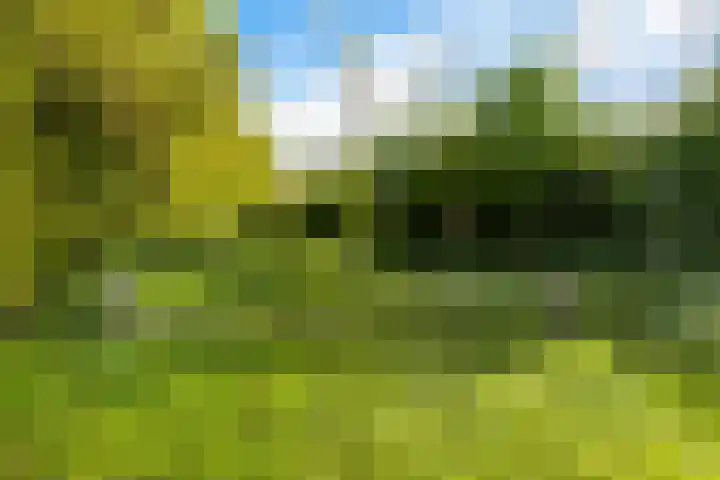 de Hoogte 26 Wagenborgen thumbnail 5