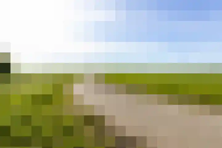 de Hoogte 26 Wagenborgen thumbnail 6