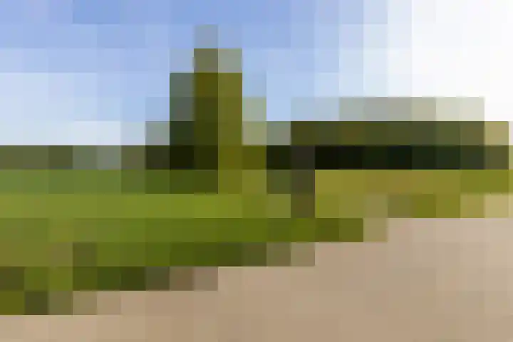 de Hoogte 26 Wagenborgen thumbnail 7