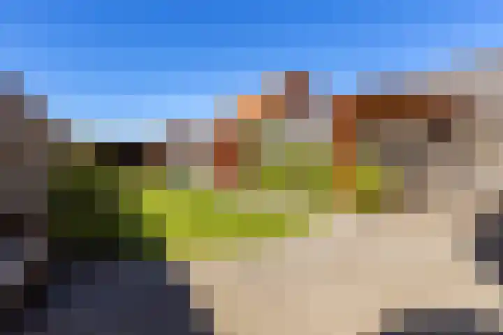 de Hoogte 5 Wagenborgen thumbnail 16