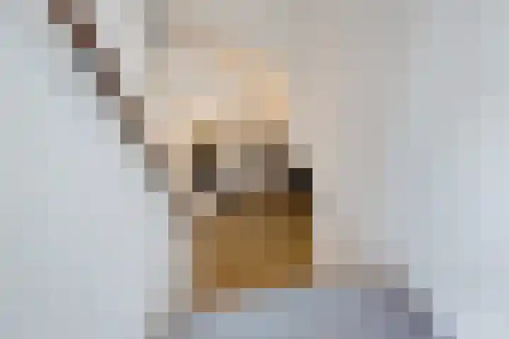 de Hoogte 5 Wagenborgen thumbnail 33