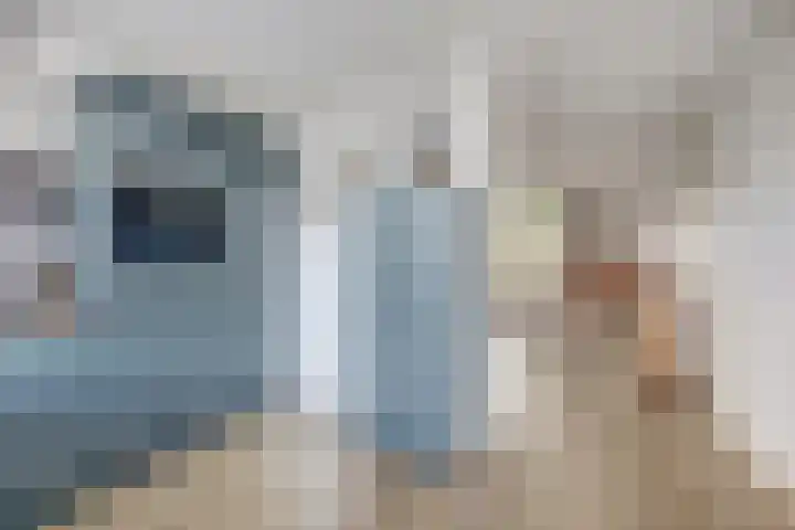 De Hooiberg 16 Biddinghuizen thumbnail 11