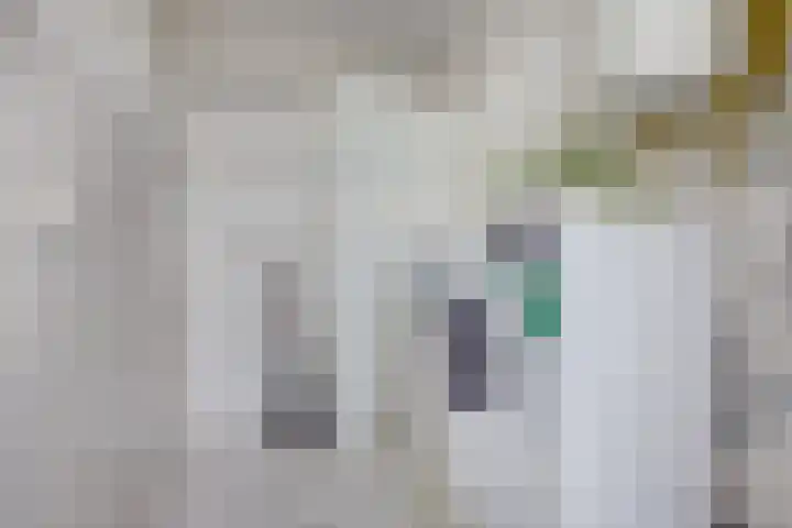 De Hooiberg 16 Biddinghuizen thumbnail 14