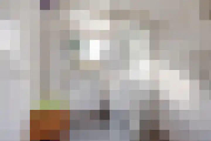 De Hooiberg 16 Biddinghuizen thumbnail 18