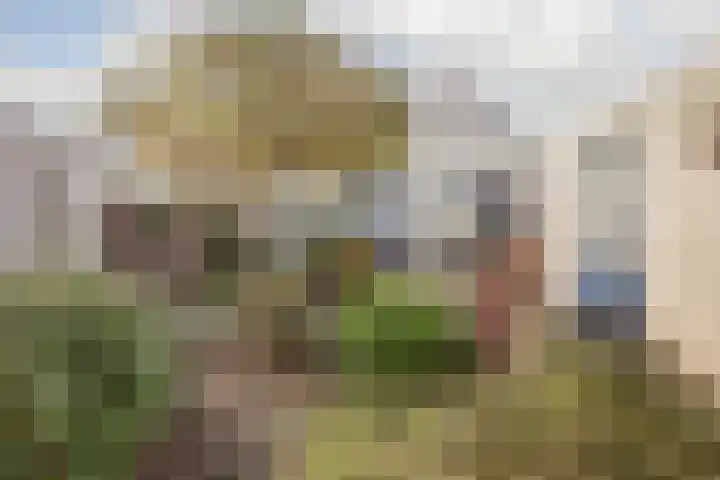 De Hooiberg 16 Biddinghuizen thumbnail 27