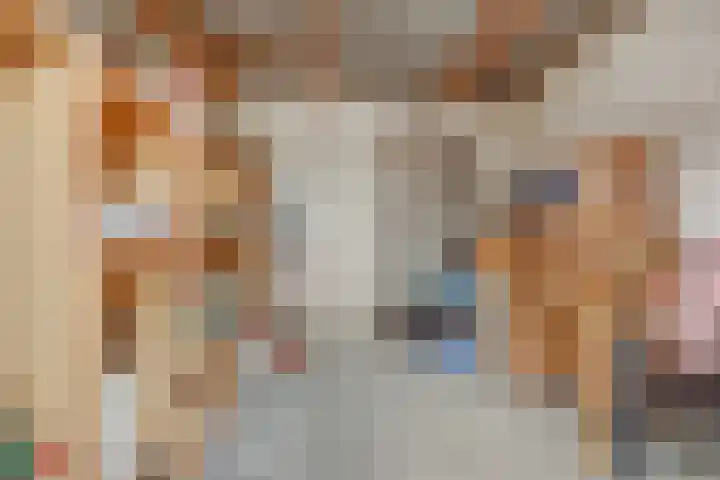 De Hooiberg 16 Biddinghuizen thumbnail 28