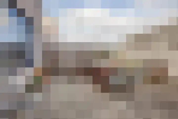 De Hooiberg 16 Biddinghuizen thumbnail 31