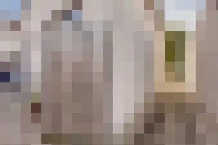 De Hooiberg 16 Biddinghuizen thumbnail 32