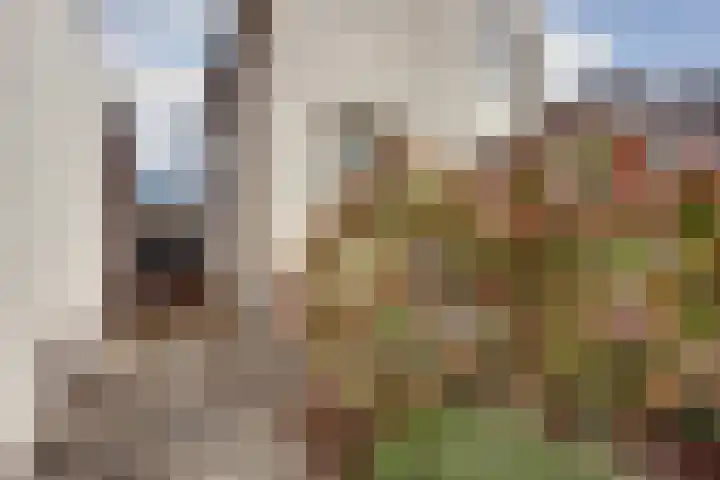 De Hooiberg 16 Biddinghuizen thumbnail 33