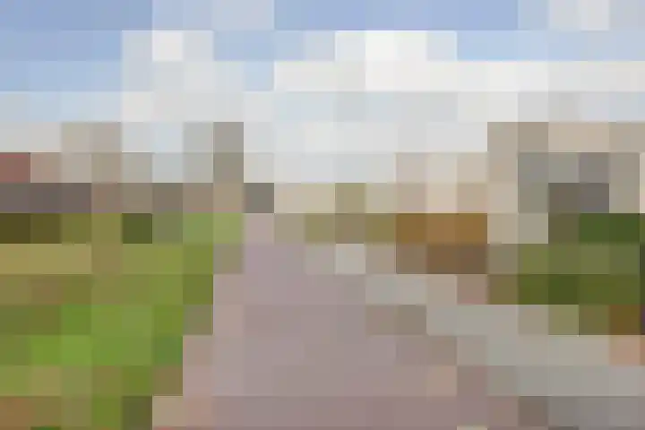 De Hooiberg 16 Biddinghuizen thumbnail 36
