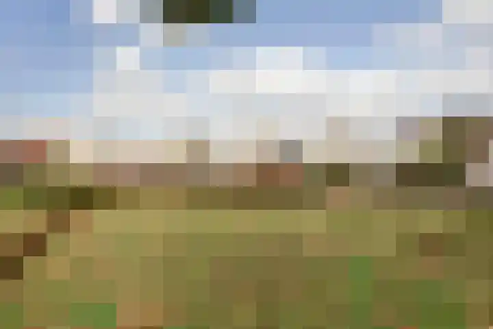 De Hooiberg 16 Biddinghuizen thumbnail 37