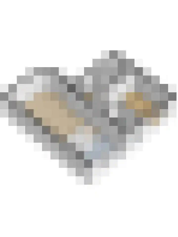 De Hooiberg 16 Biddinghuizen thumbnail 47