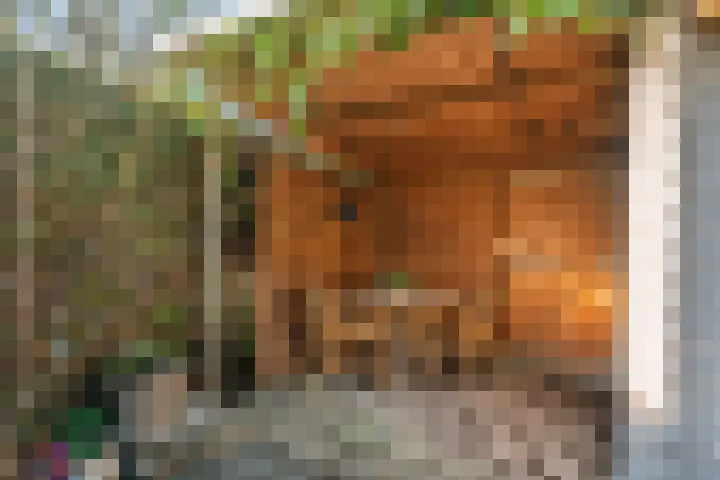 de Hooidollen 25 Leeuwarden thumbnail 17