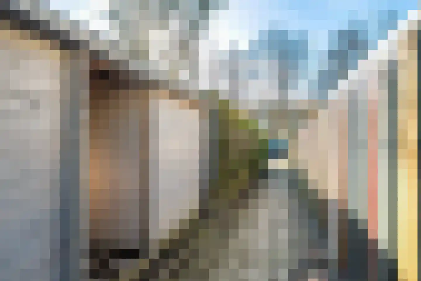 de Hooidollen 25 Leeuwarden thumbnail 18