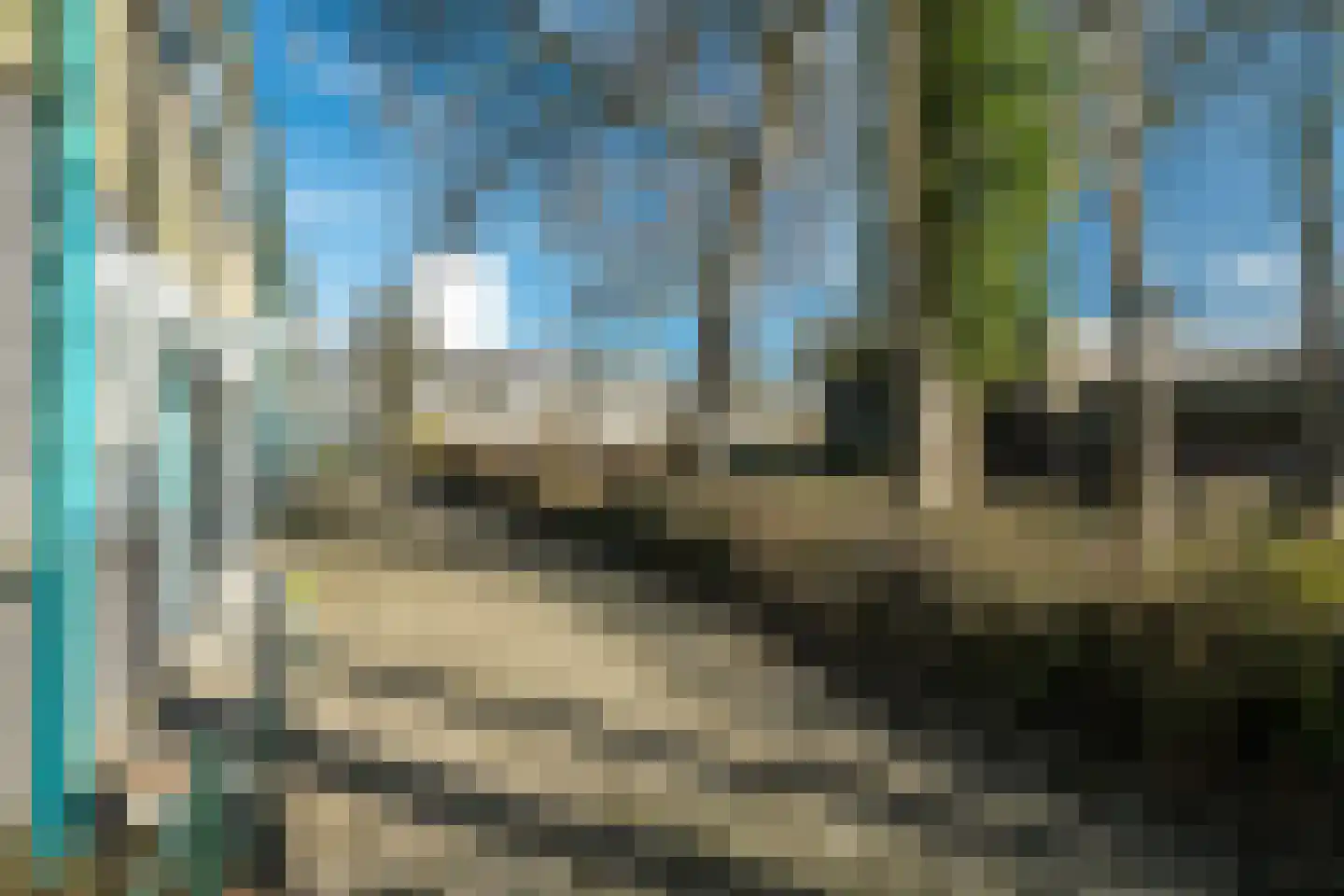 de Hooidollen 25 Leeuwarden thumbnail 31