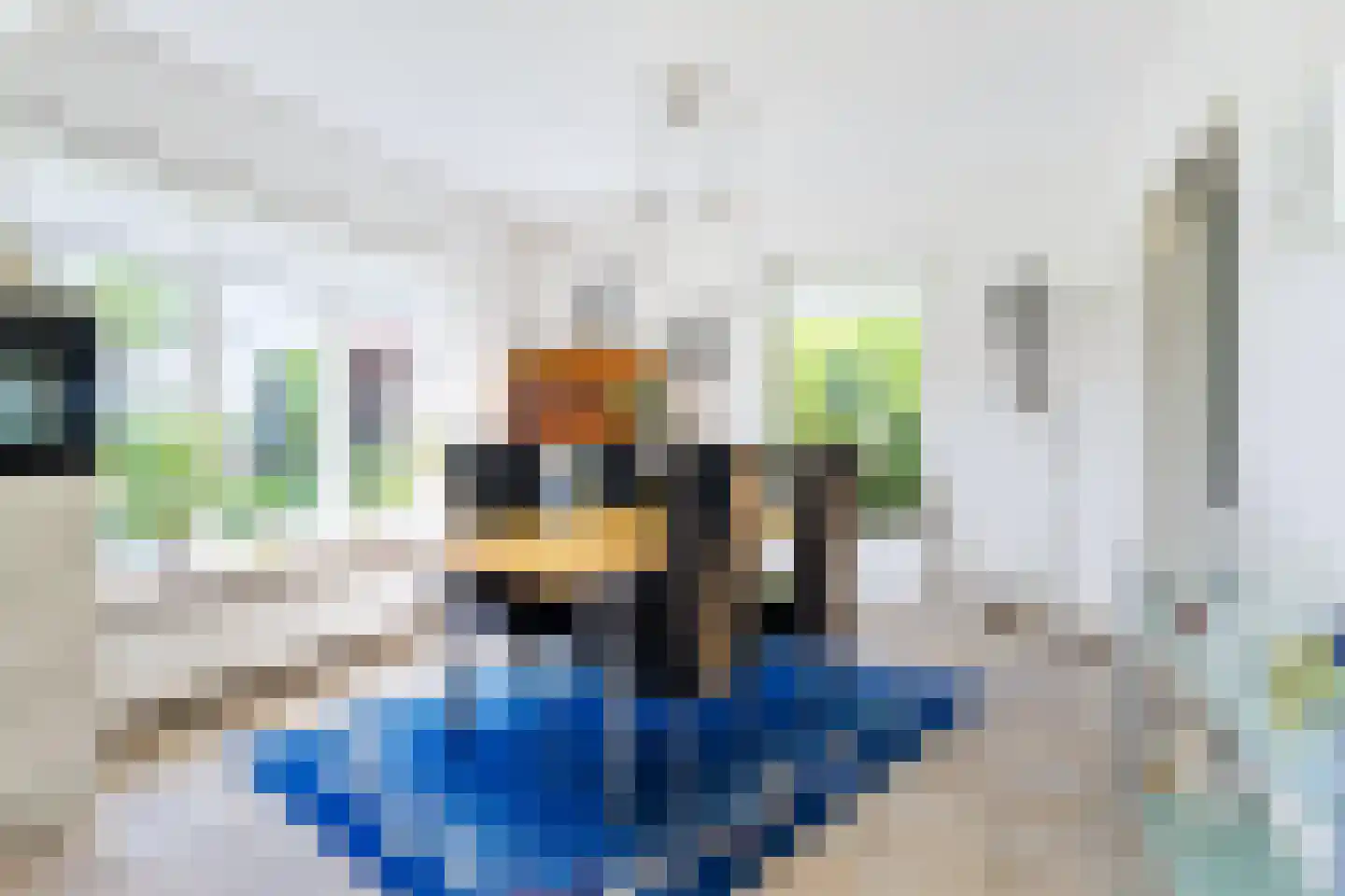 de Hooidollen 6 Kollum thumbnail 13