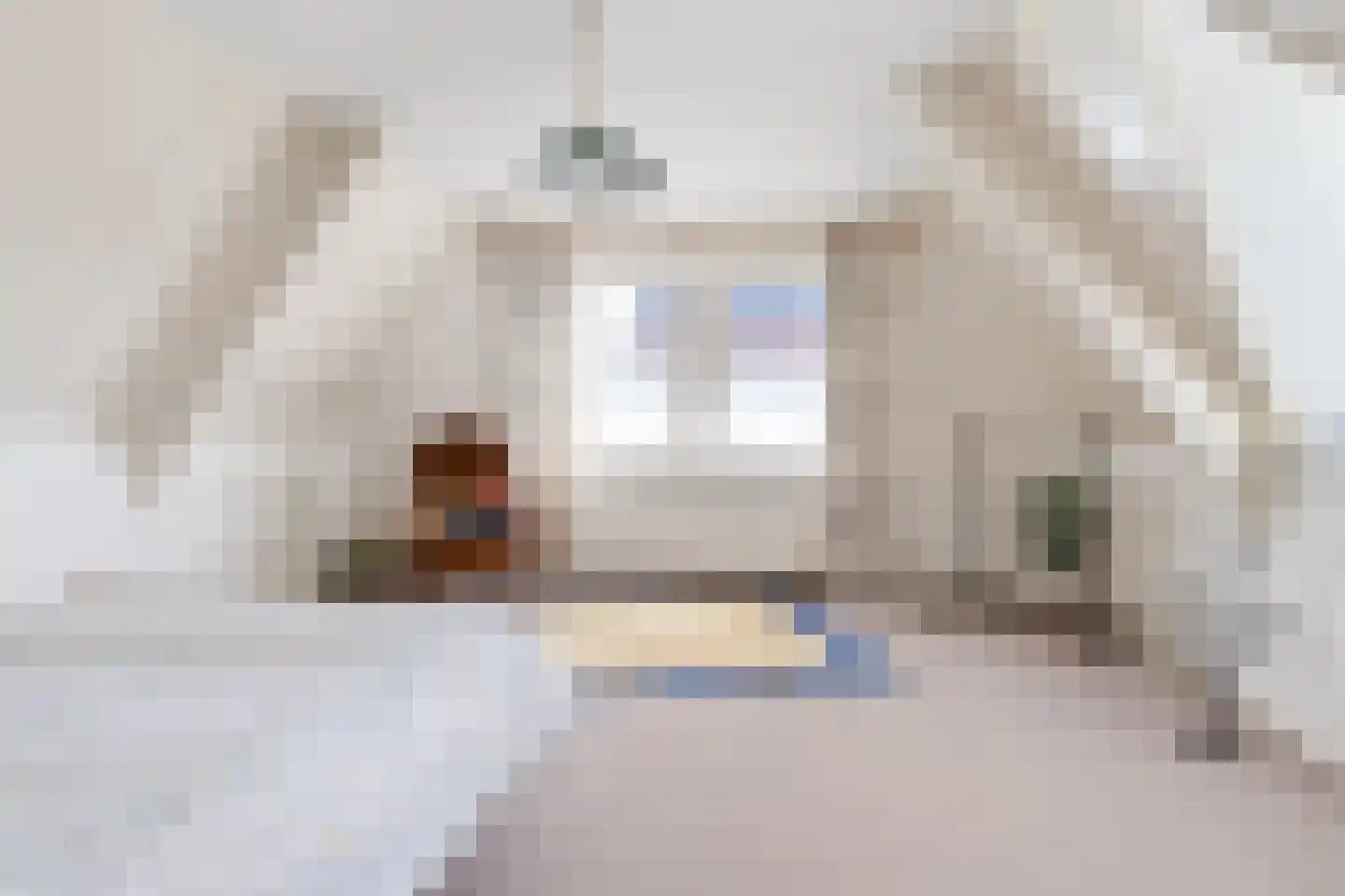 de Hooidollen 6 Kollum thumbnail 20