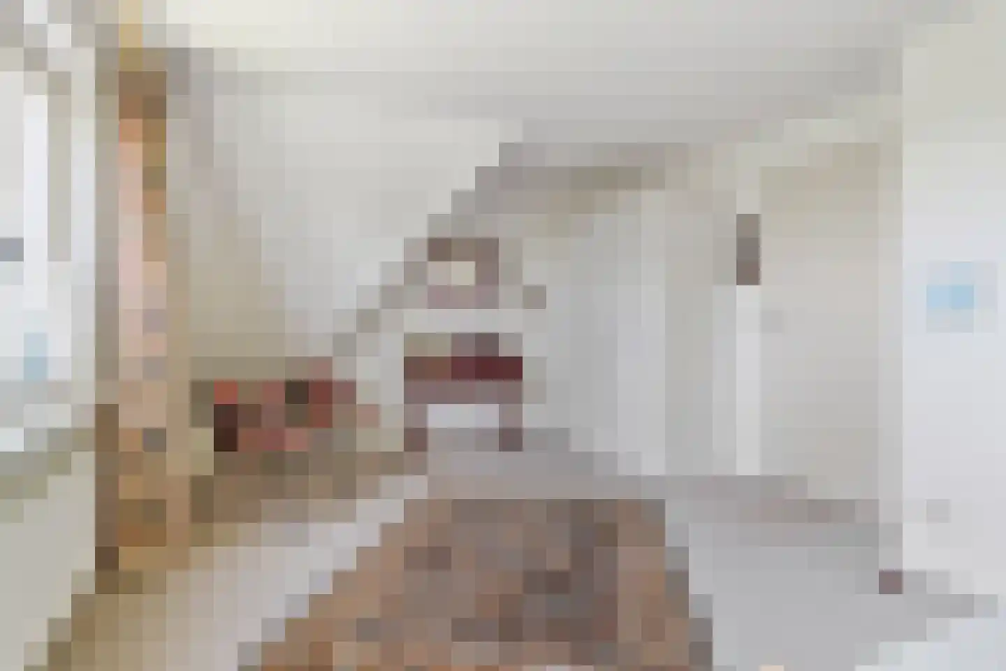 de Hooidollen 6 Kollum thumbnail 24