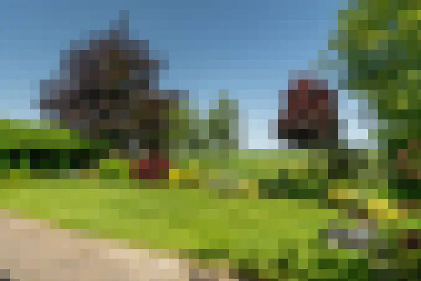 de Hooidollen 6 Kollum thumbnail 32
