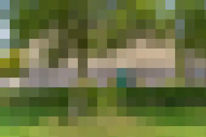 de Hooidollen 87 Leeuwarden thumbnail 27
