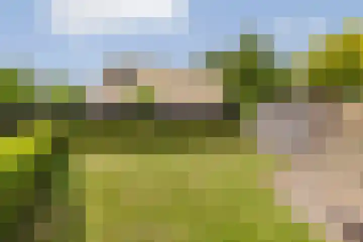 de Hooidollen 87 Leeuwarden thumbnail 31