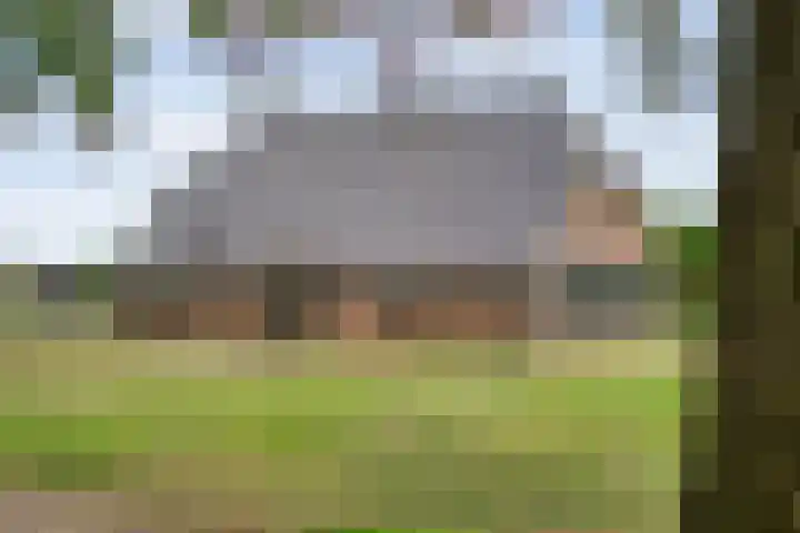 De Hooigraven 5 Dalfsen thumbnail 10