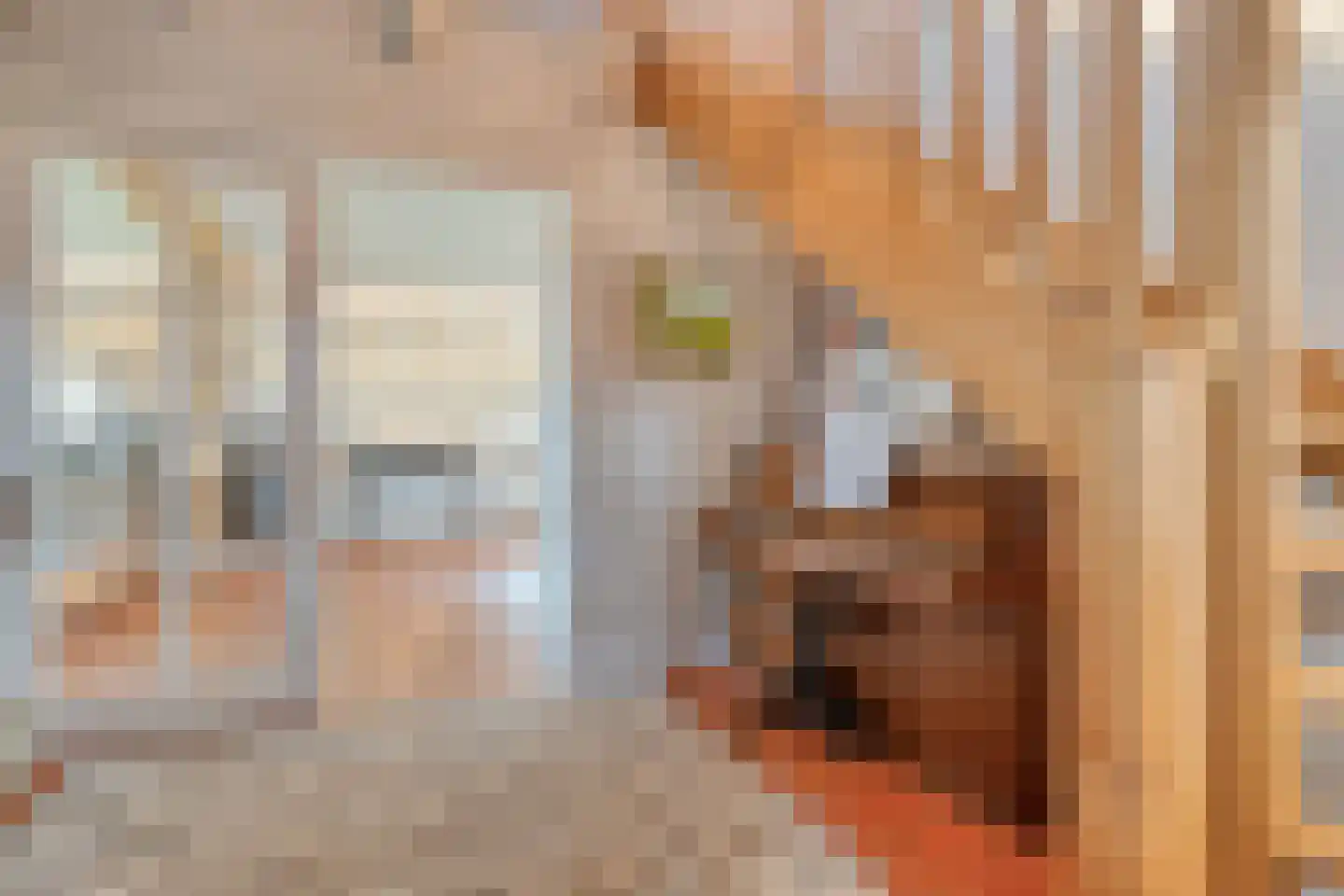 De Hooigraven 5 Dalfsen thumbnail 13