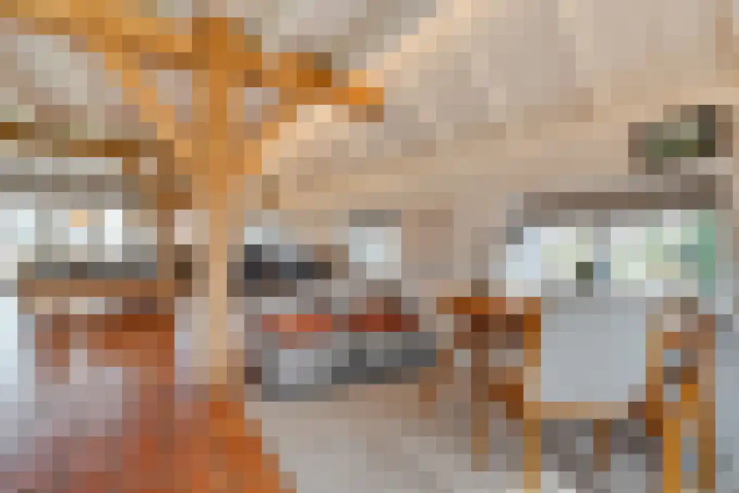 De Hooigraven 5 Dalfsen thumbnail 16
