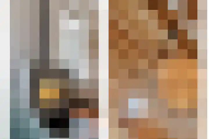 De Hooigraven 5 Dalfsen thumbnail 17