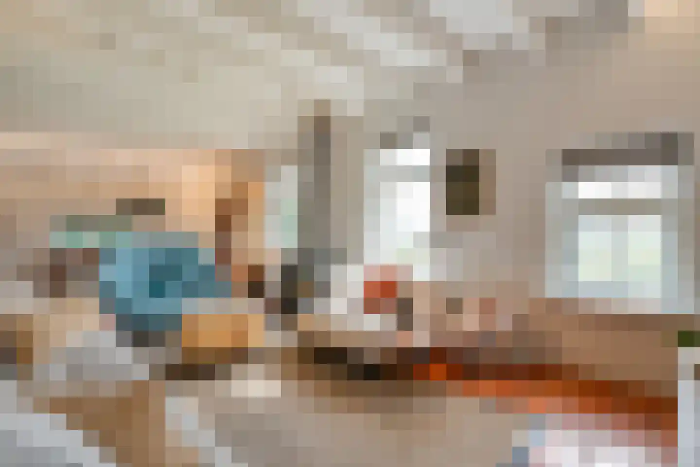 De Hooigraven 5 Dalfsen thumbnail 19