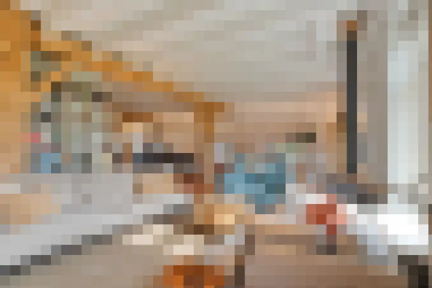 De Hooigraven 5 Dalfsen thumbnail 20