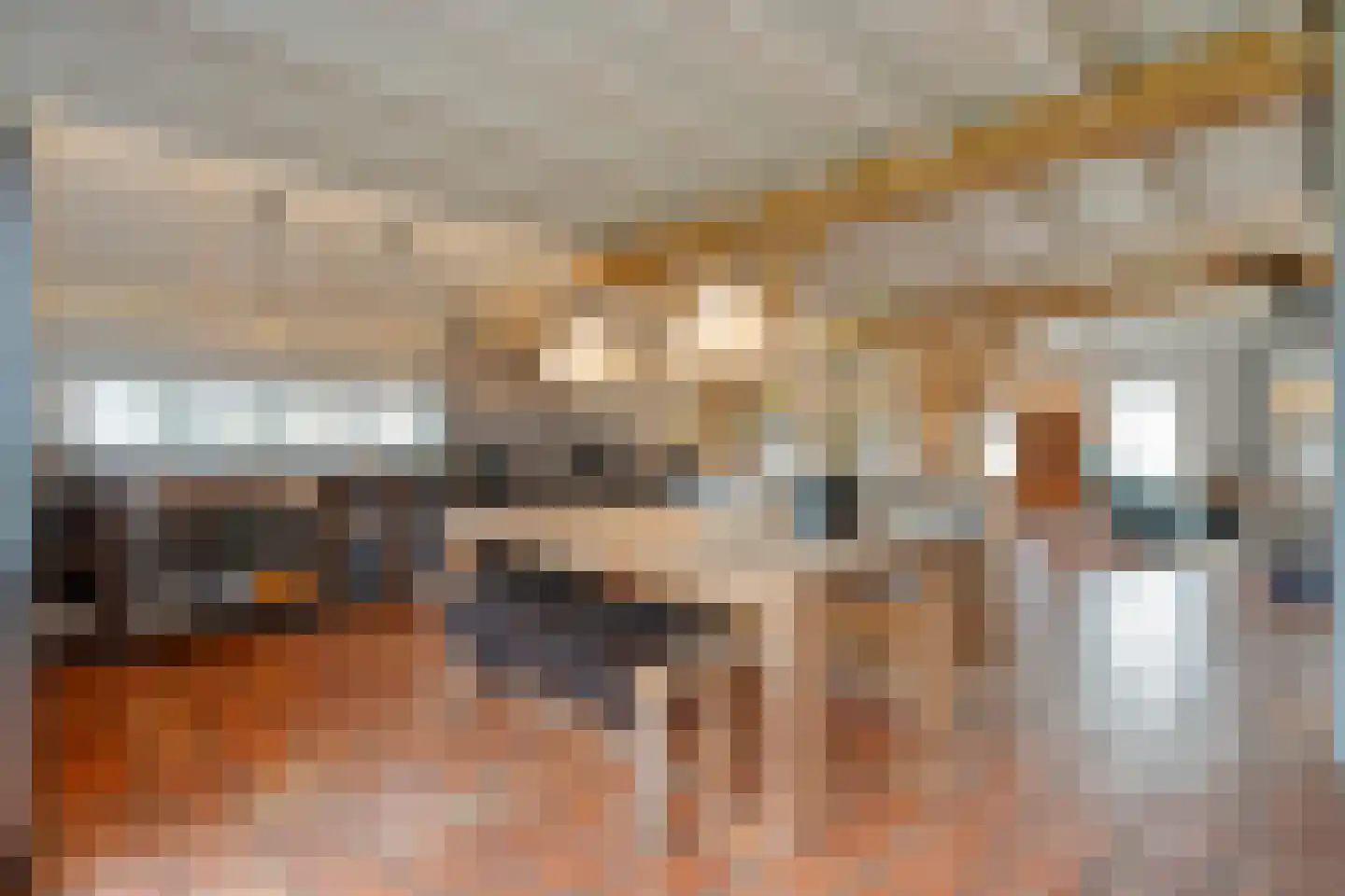 De Hooigraven 5 Dalfsen thumbnail 23