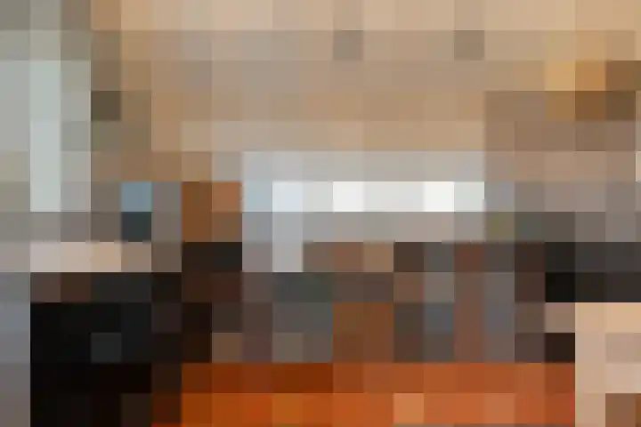 De Hooigraven 5 Dalfsen thumbnail 24