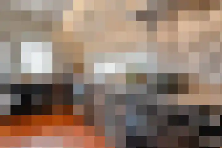De Hooigraven 5 Dalfsen thumbnail 25